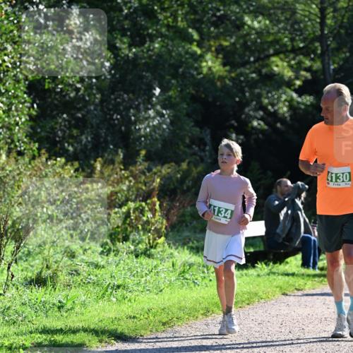27.09.2026 - 35. Volkslauf durch das schöne Alstertal Dr. Thomas Lammeyer http://msf.ph/oto/10568716 27.09.2026 10:54:29 Laufen 4134, 4130 meine-sportfotos.de