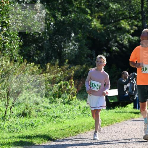 27.09.2026 - 35. Volkslauf durch das schöne Alstertal Dr. Thomas Lammeyer http://msf.ph/oto/10568717 27.09.2026 10:54:29 Laufen 4134, 413 meine-sportfotos.de
