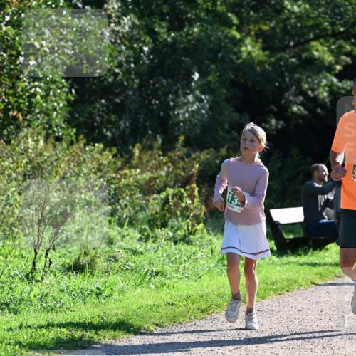 27.09.2026 - 35. Volkslauf durch das schöne Alstertal Dr. Thomas Lammeyer http://msf.ph/oto/10568718 27.09.2026 10:54:29 Laufen  meine-sportfotos.de