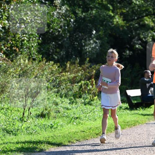 27.09.2026 - 35. Volkslauf durch das schöne Alstertal Dr. Thomas Lammeyer http://msf.ph/oto/10568720 27.09.2026 10:54:29 Laufen  meine-sportfotos.de