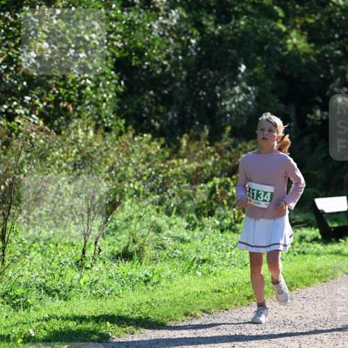 27.09.2026 - 35. Volkslauf durch das schöne Alstertal Dr. Thomas Lammeyer http://msf.ph/oto/10568721 27.09.2026 10:54:29 Laufen 134 meine-sportfotos.de