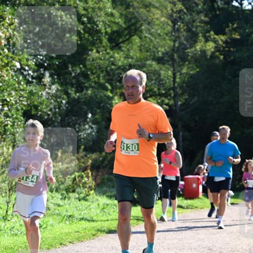 27.09.2026 - 35. Volkslauf durch das schöne Alstertal Dr. Thomas Lammeyer http://msf.ph/oto/10568729 27.09.2026 10:54:31 Laufen 34, 130 meine-sportfotos.de