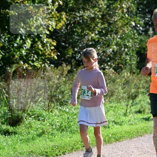 27.09.2026 - 35. Volkslauf durch das schöne Alstertal Dr. Thomas Lammeyer http://msf.ph/oto/10568734 27.09.2026 10:54:32 Laufen 134 meine-sportfotos.de