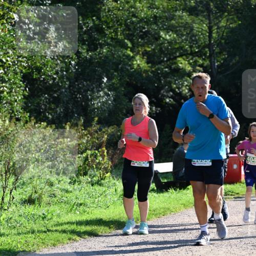 27.09.2026 - 35. Volkslauf durch das schöne Alstertal Dr. Thomas Lammeyer http://msf.ph/oto/10568738 27.09.2026 10:54:33 Laufen 377, 5536, 404 meine-sportfotos.de