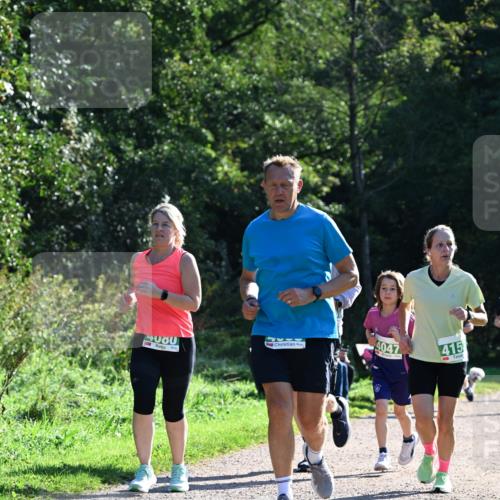 27.09.2026 - 35. Volkslauf durch das schöne Alstertal Dr. Thomas Lammeyer http://msf.ph/oto/10568742 27.09.2026 10:54:34 Laufen 4080, 4047, 415 meine-sportfotos.de