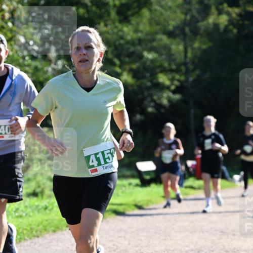27.09.2026 - 35. Volkslauf durch das schöne Alstertal Dr. Thomas Lammeyer http://msf.ph/oto/10568767 27.09.2026 10:54:36 Laufen 40, 415 meine-sportfotos.de