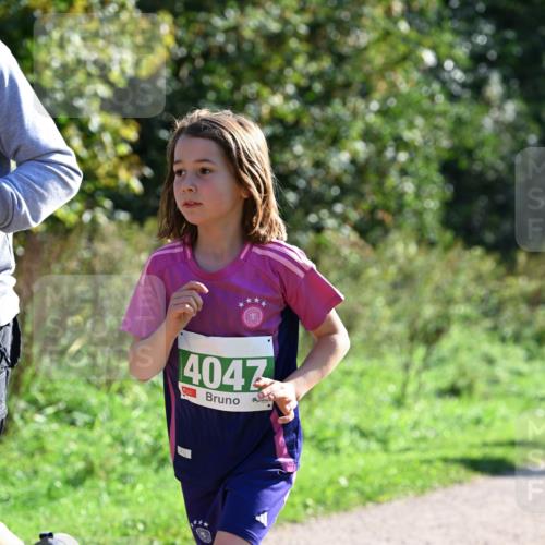 27.09.2026 - 35. Volkslauf durch das schöne Alstertal Dr. Thomas Lammeyer http://msf.ph/oto/10568776 27.09.2026 10:54:38 Laufen 4047 meine-sportfotos.de