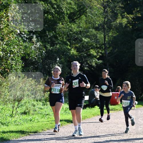 27.09.2026 - 35. Volkslauf durch das schöne Alstertal Dr. Thomas Lammeyer http://msf.ph/oto/10568780 27.09.2026 10:54:38 Laufen 4161, 416, 4095, 4202 meine-sportfotos.de