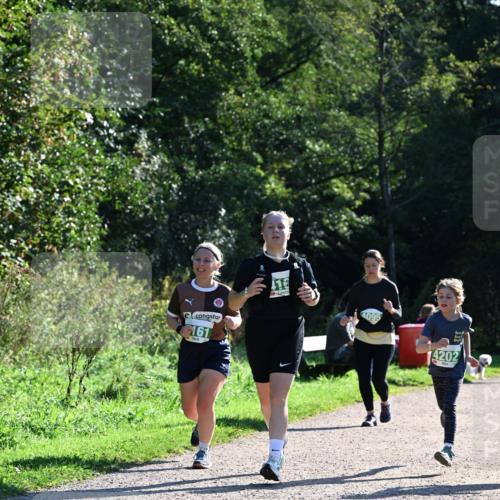 27.09.2026 - 35. Volkslauf durch das schöne Alstertal Dr. Thomas Lammeyer http://msf.ph/oto/10568781 27.09.2026 10:54:39 Laufen 161, 416, 14202, 5 meine-sportfotos.de