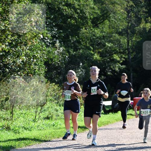 27.09.2026 - 35. Volkslauf durch das schöne Alstertal Dr. Thomas Lammeyer http://msf.ph/oto/10568782 27.09.2026 10:54:39 Laufen 161, 116, 4095, 4202 meine-sportfotos.de