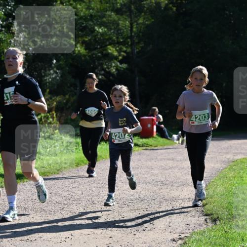 27.09.2026 - 35. Volkslauf durch das schöne Alstertal Dr. Thomas Lammeyer http://msf.ph/oto/10568786 27.09.2026 10:54:40 Laufen 4095, 4202, 4203 meine-sportfotos.de