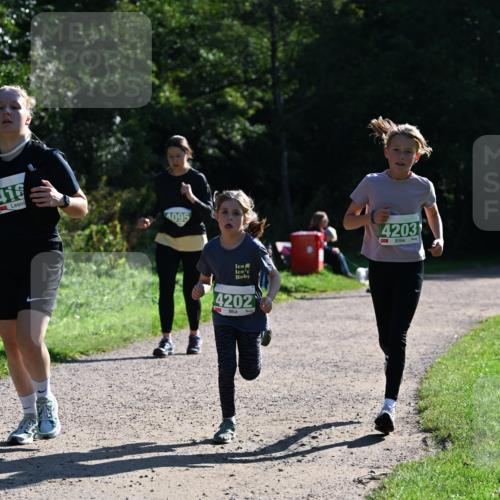 27.09.2026 - 35. Volkslauf durch das schöne Alstertal Dr. Thomas Lammeyer http://msf.ph/oto/10568787 27.09.2026 10:54:40 Laufen 416, 4095, 4202, 4203 meine-sportfotos.de