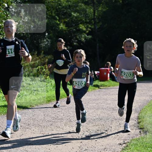 27.09.2026 - 35. Volkslauf durch das schöne Alstertal Dr. Thomas Lammeyer http://msf.ph/oto/10568789 27.09.2026 10:54:40 Laufen 116, 4095, 4202, 4203 meine-sportfotos.de