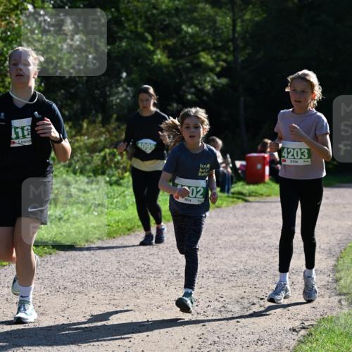 27.09.2026 - 35. Volkslauf durch das schöne Alstertal Dr. Thomas Lammeyer http://msf.ph/oto/10568790 27.09.2026 10:54:40 Laufen 116, 4095, 4203, 02 meine-sportfotos.de