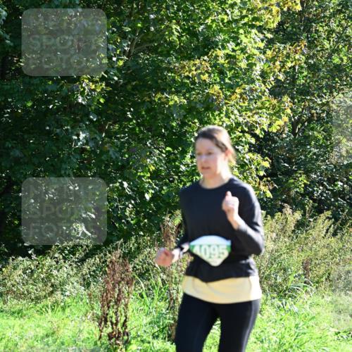 27.09.2026 - 35. Volkslauf durch das schöne Alstertal Dr. Thomas Lammeyer http://msf.ph/oto/10568809 27.09.2026 10:54:43 Laufen 4095 meine-sportfotos.de
