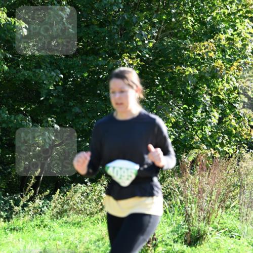 27.09.2026 - 35. Volkslauf durch das schöne Alstertal Dr. Thomas Lammeyer http://msf.ph/oto/10568813 27.09.2026 10:54:43 Laufen 409 meine-sportfotos.de