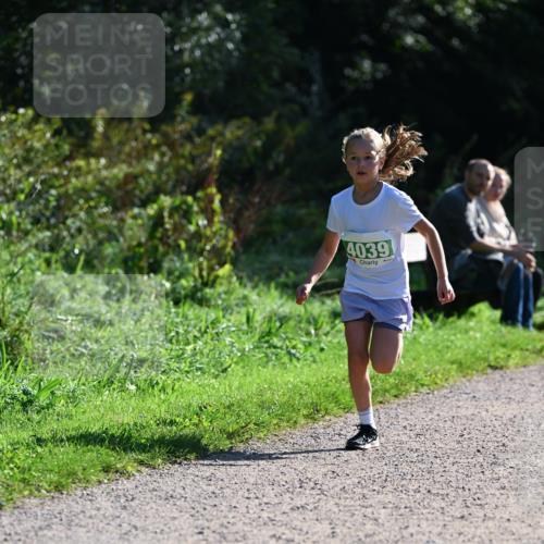 27.09.2026 - 35. Volkslauf durch das schöne Alstertal Dr. Thomas Lammeyer http://msf.ph/oto/10568821 27.09.2026 10:54:52 Laufen 4039 meine-sportfotos.de