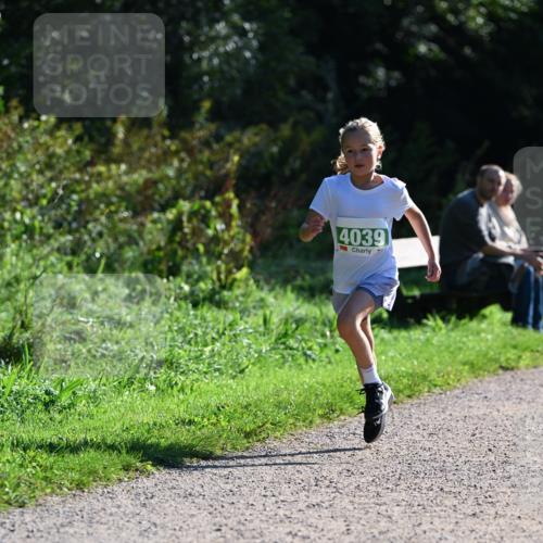 27.09.2026 - 35. Volkslauf durch das schöne Alstertal Dr. Thomas Lammeyer http://msf.ph/oto/10568823 27.09.2026 10:54:52 Laufen 4039 meine-sportfotos.de