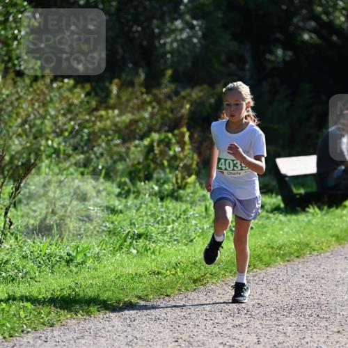 27.09.2026 - 35. Volkslauf durch das schöne Alstertal Dr. Thomas Lammeyer http://msf.ph/oto/10568825 27.09.2026 10:54:52 Laufen 403 meine-sportfotos.de