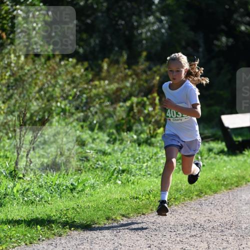 27.09.2026 - 35. Volkslauf durch das schöne Alstertal Dr. Thomas Lammeyer http://msf.ph/oto/10568826 27.09.2026 10:54:52 Laufen 405 meine-sportfotos.de