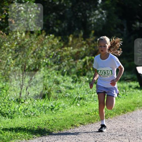27.09.2026 - 35. Volkslauf durch das schöne Alstertal Dr. Thomas Lammeyer http://msf.ph/oto/10568828 27.09.2026 10:54:53 Laufen 4039 meine-sportfotos.de