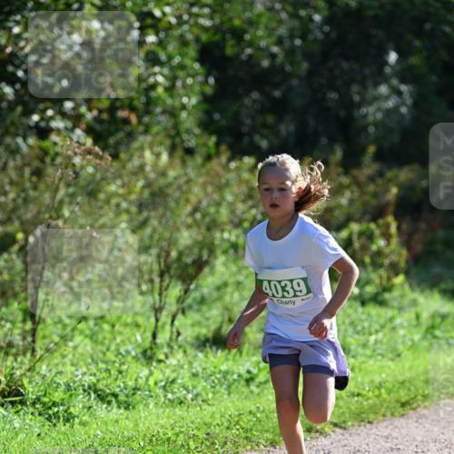 27.09.2026 - 35. Volkslauf durch das schöne Alstertal Dr. Thomas Lammeyer http://msf.ph/oto/10568834 27.09.2026 10:54:53 Laufen 4039 meine-sportfotos.de