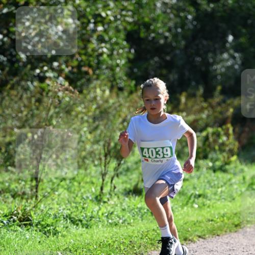 27.09.2026 - 35. Volkslauf durch das schöne Alstertal Dr. Thomas Lammeyer http://msf.ph/oto/10568835 27.09.2026 10:54:53 Laufen 4039 meine-sportfotos.de