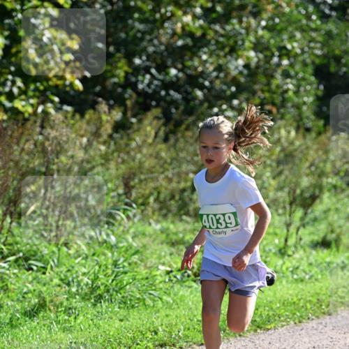 27.09.2026 - 35. Volkslauf durch das schöne Alstertal Dr. Thomas Lammeyer http://msf.ph/oto/10568840 27.09.2026 10:54:54 Laufen 4039 meine-sportfotos.de
