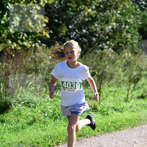 27.09.2026 - 35. Volkslauf durch das schöne Alstertal Dr. Thomas Lammeyer http://msf.ph/oto/10568842 27.09.2026 10:54:54 Laufen 4039 meine-sportfotos.de