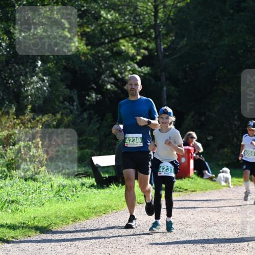 27.09.2026 - 35. Volkslauf durch das schöne Alstertal Dr. Thomas Lammeyer http://msf.ph/oto/10568875 27.09.2026 10:55:07 Laufen 4236, 4237, 4050 meine-sportfotos.de