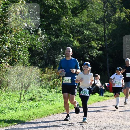 27.09.2026 - 35. Volkslauf durch das schöne Alstertal Dr. Thomas Lammeyer http://msf.ph/oto/10568888 27.09.2026 10:55:09 Laufen 4236, 4237, 4050, 4051 meine-sportfotos.de