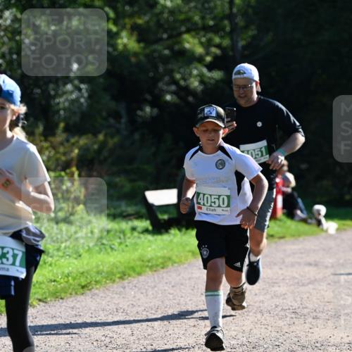 27.09.2026 - 35. Volkslauf durch das schöne Alstertal Dr. Thomas Lammeyer http://msf.ph/oto/10568895 27.09.2026 10:55:10 Laufen 37, 4050, 051 meine-sportfotos.de