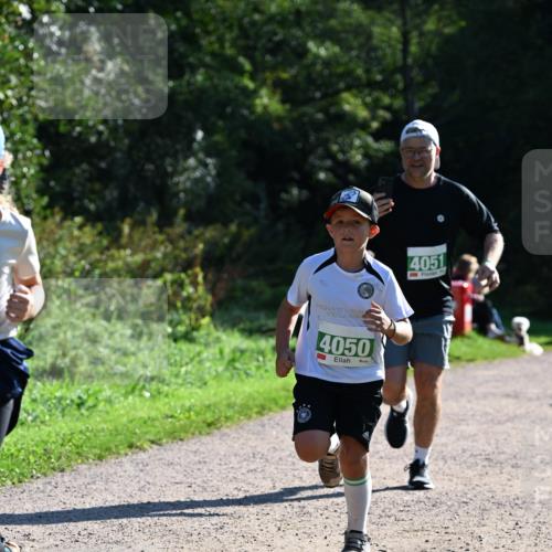 27.09.2026 - 35. Volkslauf durch das schöne Alstertal Dr. Thomas Lammeyer http://msf.ph/oto/10568899 27.09.2026 10:55:11 Laufen 4050, 4051 meine-sportfotos.de
