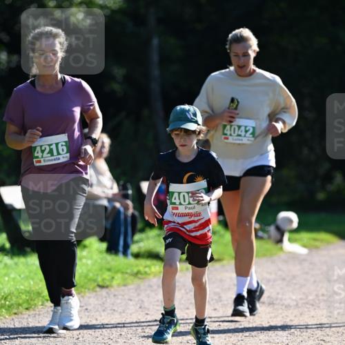 27.09.2026 - 35. Volkslauf durch das schöne Alstertal Dr. Thomas Lammeyer http://msf.ph/oto/10568922 27.09.2026 10:55:17 Laufen 4216, 40, 1, 4042 meine-sportfotos.de