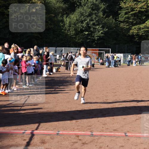 27.09.2026 - 35. Volkslauf durch das schöne Alstertal Strokosch-Dieckow http://msf.ph/oto/10568939 27.09.2026 11:00:07 Ziel 4244 meine-sportfotos.de