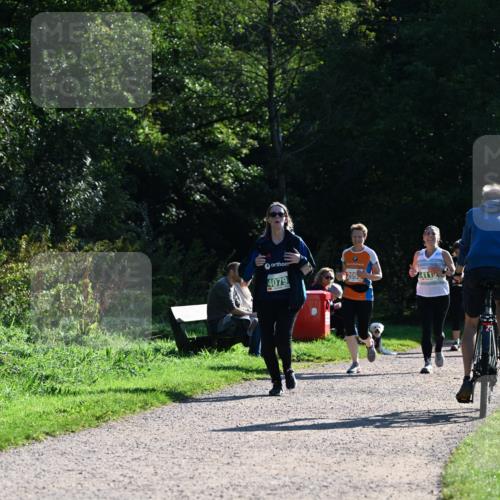 27.09.2026 - 35. Volkslauf durch das schöne Alstertal Dr. Thomas Lammeyer http://msf.ph/oto/10568947 27.09.2026 10:55:23 Laufen 4079, 209, 4115 meine-sportfotos.de