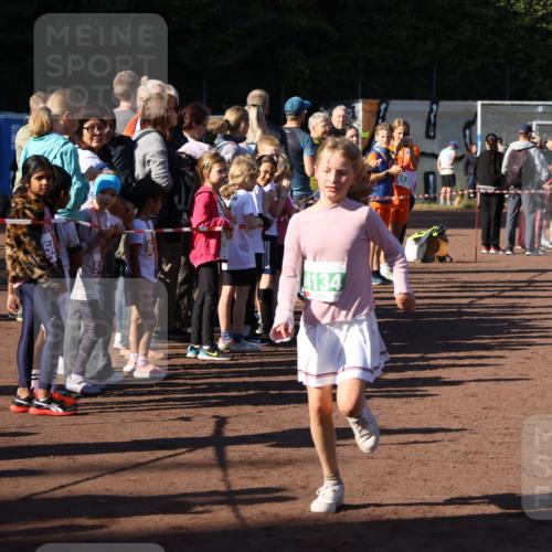 27.09.2026 - 35. Volkslauf durch das schöne Alstertal Strokosch-Dieckow http://msf.ph/oto/10568971 27.09.2026 10:59:56 Ziel 4117, 4130, 4134, 4159, 4160 meine-sportfotos.de