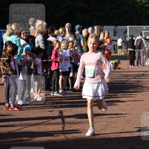 27.09.2026 - 35. Volkslauf durch das schöne Alstertal Strokosch-Dieckow http://msf.ph/oto/10568976 27.09.2026 10:59:56 Ziel 4117, 4130, 4134, 4159, 4160 meine-sportfotos.de