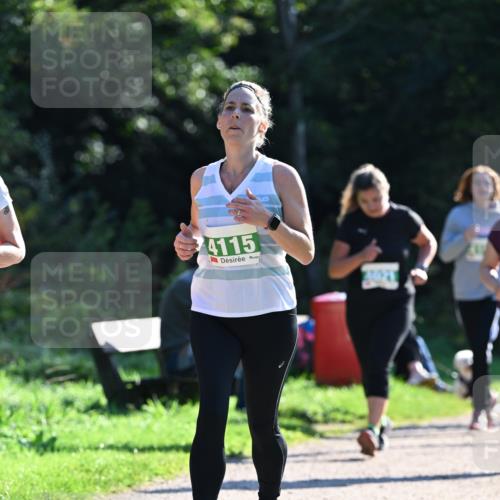 27.09.2026 - 35. Volkslauf durch das schöne Alstertal Dr. Thomas Lammeyer http://msf.ph/oto/10568979 27.09.2026 10:55:27 Laufen 4115 meine-sportfotos.de