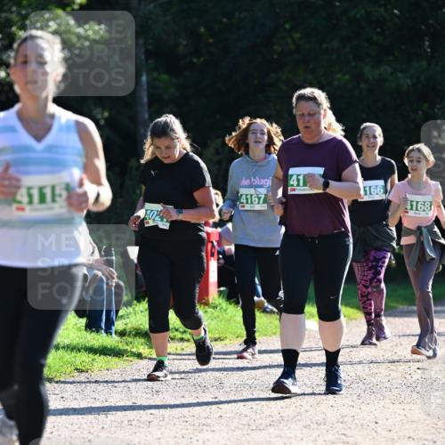 27.09.2026 - 35. Volkslauf durch das schöne Alstertal Dr. Thomas Lammeyer http://msf.ph/oto/10568983 27.09.2026 10:55:28 Laufen 4115, 4167, 41, 166, 4168 meine-sportfotos.de