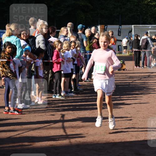 27.09.2026 - 35. Volkslauf durch das schöne Alstertal Strokosch-Dieckow http://msf.ph/oto/10568987 27.09.2026 10:59:56 Ziel 4117, 4130, 4134, 4159, 4160 meine-sportfotos.de