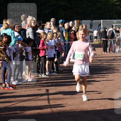 27.09.2026 - 35. Volkslauf durch das schöne Alstertal Strokosch-Dieckow http://msf.ph/oto/10568993 27.09.2026 10:59:56 Ziel 4117, 4130, 4134, 4159, 4160 meine-sportfotos.de