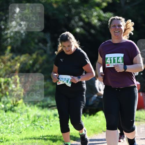 27.09.2026 - 35. Volkslauf durch das schöne Alstertal Dr. Thomas Lammeyer http://msf.ph/oto/10568996 27.09.2026 10:55:30 Laufen 921, 4114 meine-sportfotos.de