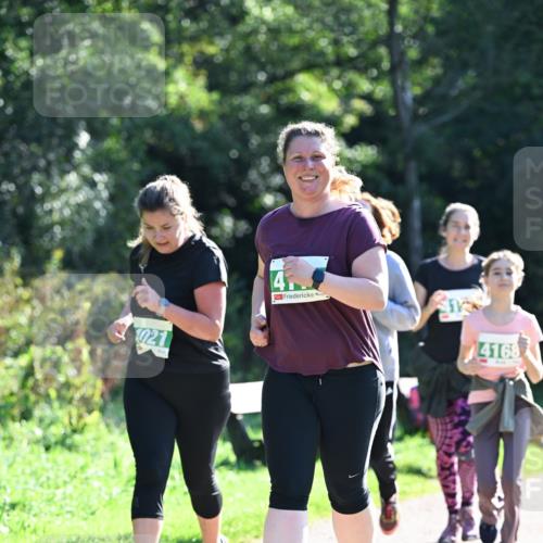 27.09.2026 - 35. Volkslauf durch das schöne Alstertal Dr. Thomas Lammeyer http://msf.ph/oto/10569001 27.09.2026 10:55:31 Laufen 021, 4168 meine-sportfotos.de
