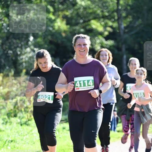 27.09.2026 - 35. Volkslauf durch das schöne Alstertal Dr. Thomas Lammeyer http://msf.ph/oto/10569004 27.09.2026 10:55:31 Laufen 4021, 4114, 4168 meine-sportfotos.de