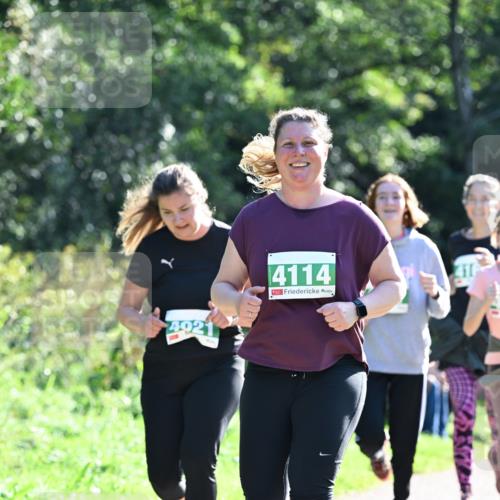 27.09.2026 - 35. Volkslauf durch das schöne Alstertal Dr. Thomas Lammeyer http://msf.ph/oto/10569006 27.09.2026 10:55:31 Laufen 921, 4114 meine-sportfotos.de