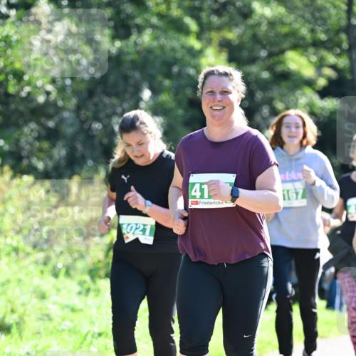 27.09.2026 - 35. Volkslauf durch das schöne Alstertal Dr. Thomas Lammeyer http://msf.ph/oto/10569008 27.09.2026 10:55:32 Laufen 1021, 41, 167 meine-sportfotos.de