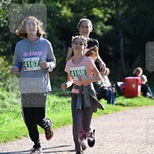 27.09.2026 - 35. Volkslauf durch das schöne Alstertal Dr. Thomas Lammeyer http://msf.ph/oto/10569019 27.09.2026 10:55:33 Laufen 4167, 4168 meine-sportfotos.de