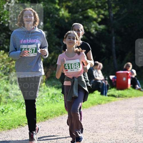 27.09.2026 - 35. Volkslauf durch das schöne Alstertal Dr. Thomas Lammeyer http://msf.ph/oto/10569021 27.09.2026 10:55:33 Laufen 67, 4168 meine-sportfotos.de
