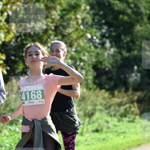 27.09.2026 - 35. Volkslauf durch das schöne Alstertal Dr. Thomas Lammeyer http://msf.ph/oto/10569033 27.09.2026 10:55:35 Laufen 4168 meine-sportfotos.de